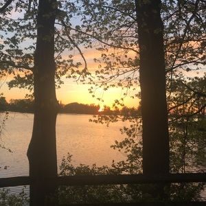 Meet your Posher, Dolores